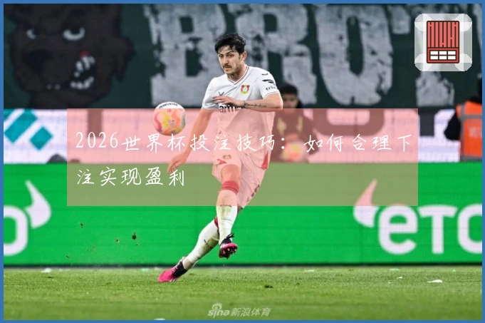 2026世界杯投注技巧：如何合理下注实现盈利
