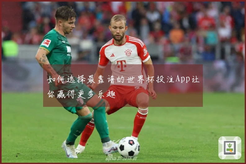 如何选择最靠谱的世界杯投注App让你赢得更多乐趣