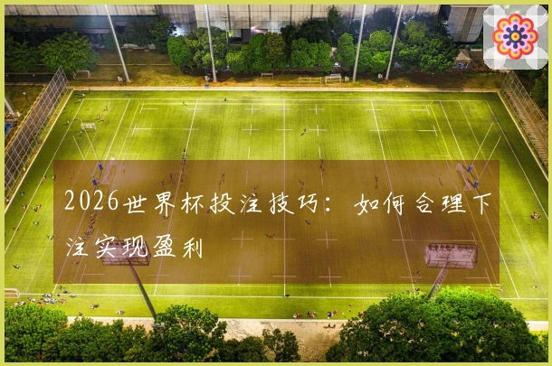 2026世界杯投注技巧：如何合理下注实现盈利