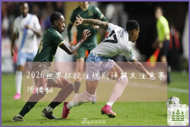 2026世界杯投注规则详解及注意事项揭秘