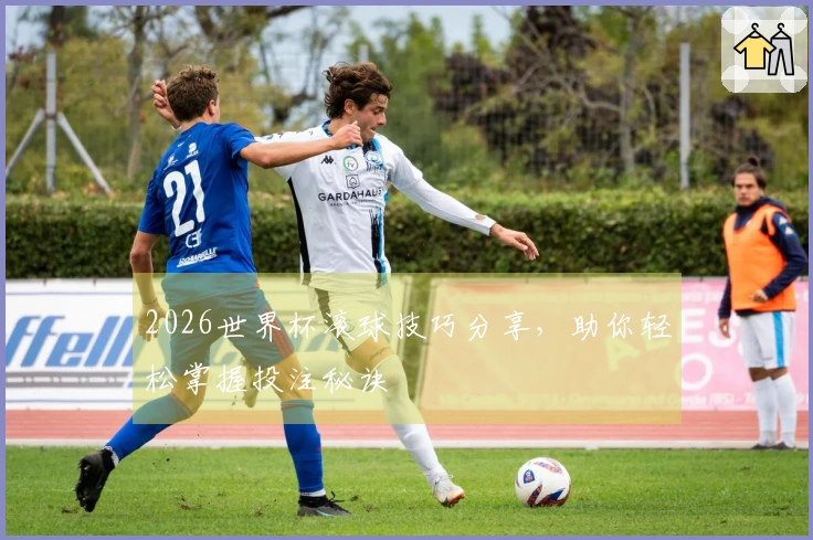 2026世界杯滚球技巧分享，助你轻松掌握投注秘诀