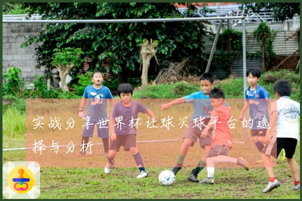 实战分享世界杯让球买球平台的选择与分析
