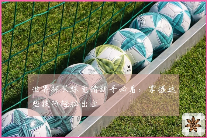 世界杯买球竞猜新手必看，掌握这些技巧轻松出击