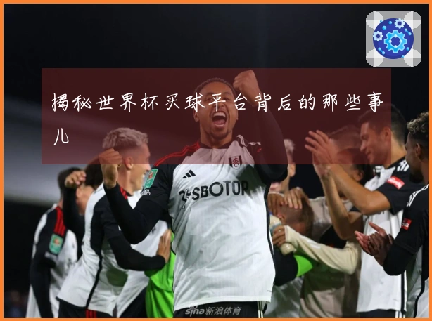 揭秘世界杯买球平台背后的那些事儿