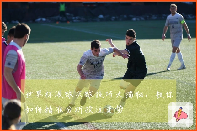 世界杯滚球买球技巧大揭秘，教你如何精准分析投注走势