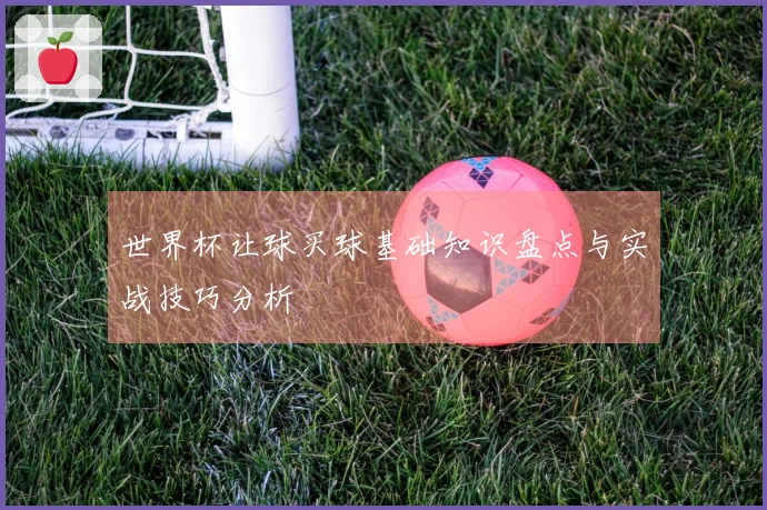 世界杯让球买球基础知识盘点与实战技巧分析
