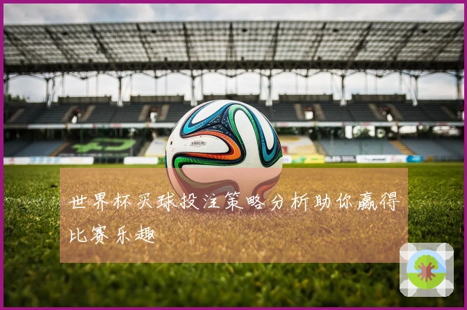 世界杯买球投注策略分析助你赢得比赛乐趣