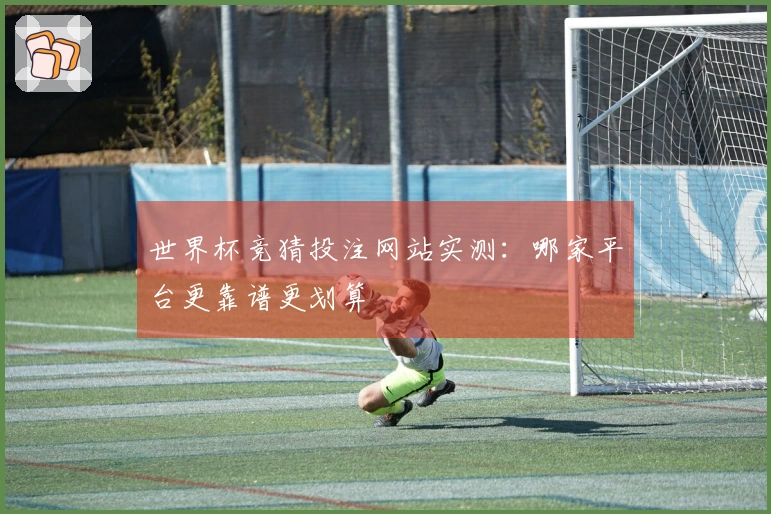 世界杯竞猜投注网站实测：哪家平台更靠谱更划算