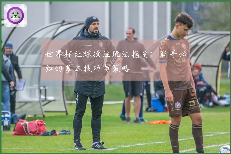 世界杯让球投注玩法指南：新手必知的基本技巧与策略