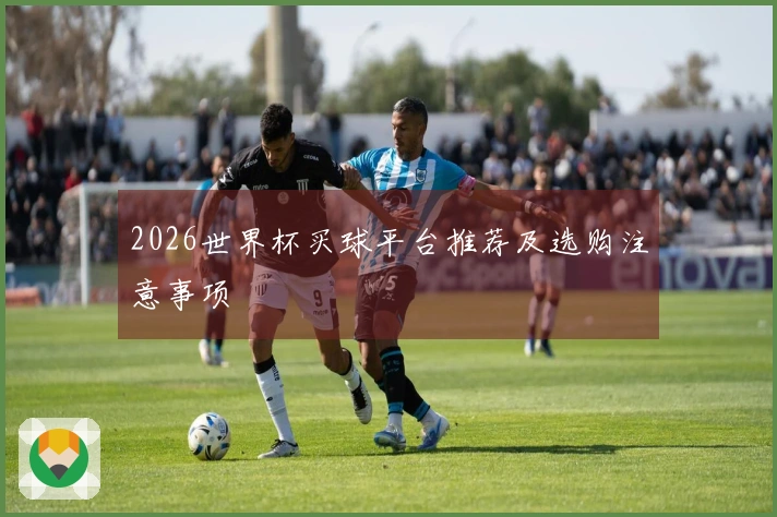 2026世界杯买球平台推荐及选购注意事项