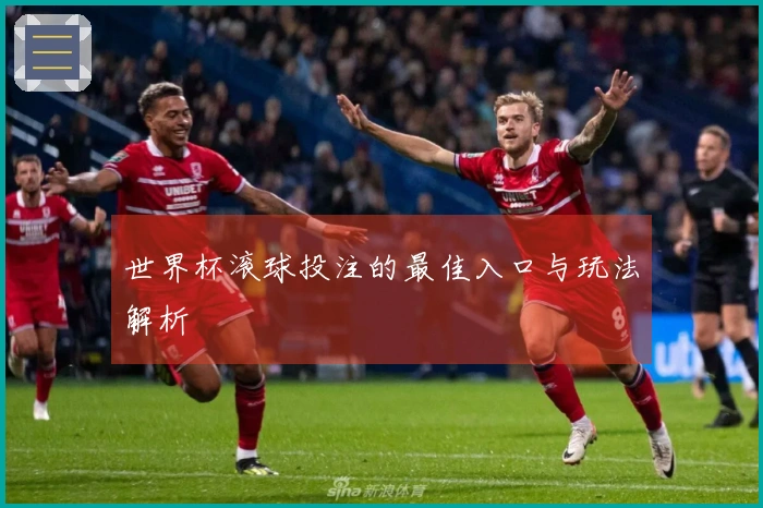 世界杯滚球投注的最佳入口与玩法解析